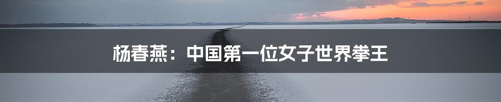 杨春燕:中国第一位女子世界拳王