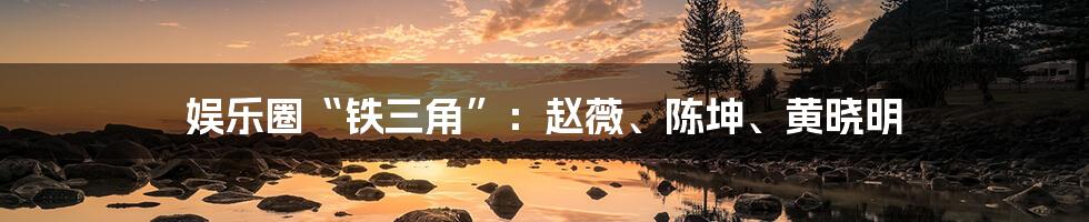 娱乐圈“铁三角”:赵薇、陈坤、黄晓明