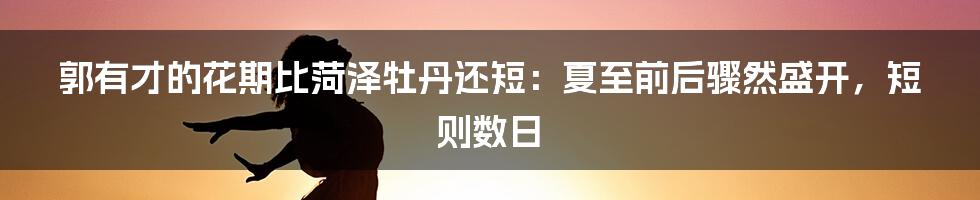 郭有才的花期比菏泽牡丹还短:夏至前后骤然盛开,短则数日