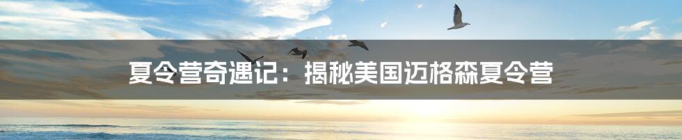 夏令营奇遇记:揭秘美国迈格森夏令营