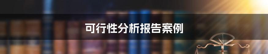 可行性分析报告案例