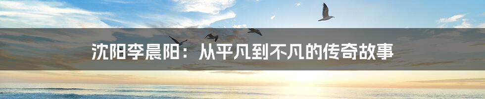 沈阳李晨阳:从平凡到不凡的传奇故事