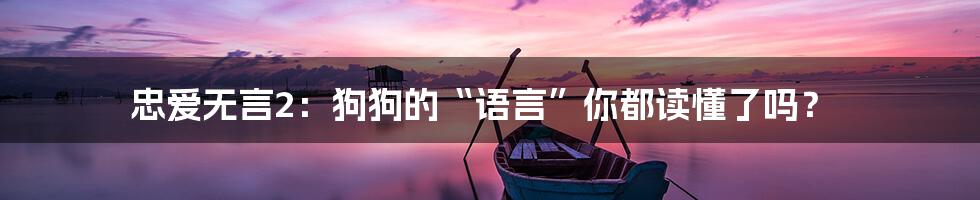 忠爱无言2:狗狗的“语言”你都读懂了吗?
