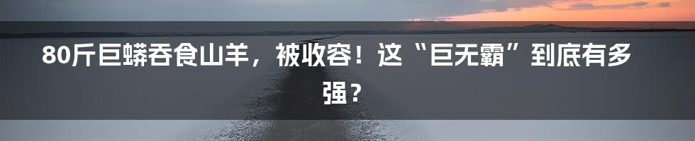 80斤巨蟒吞食山羊,被收容!这“巨无霸”到底有多强?