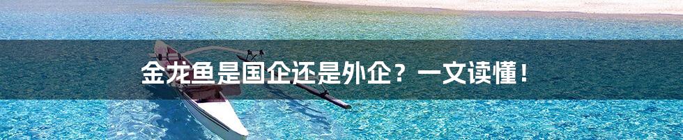 金龙鱼是国企还是外企?一文读懂!