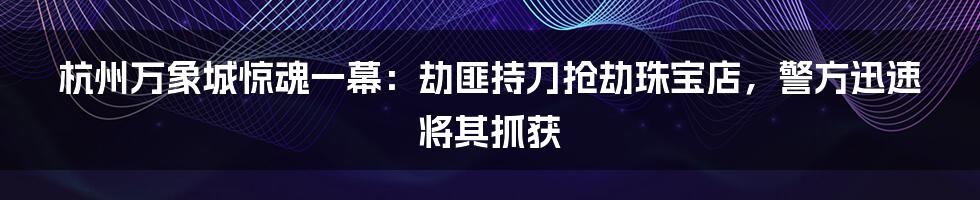 杭州万象城惊魂一幕:劫匪持刀抢劫珠宝店,警方迅速将其抓获