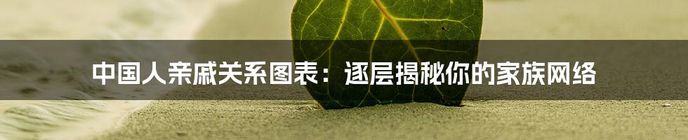 中国人亲戚关系图表：逐层揭秘你的家族网络