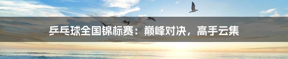 乒乓球全国锦标赛:巅峰对决,高手云集