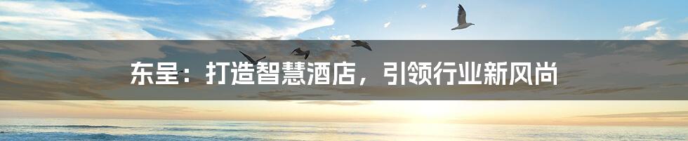 东呈:打造智慧酒店,引领行业新风尚