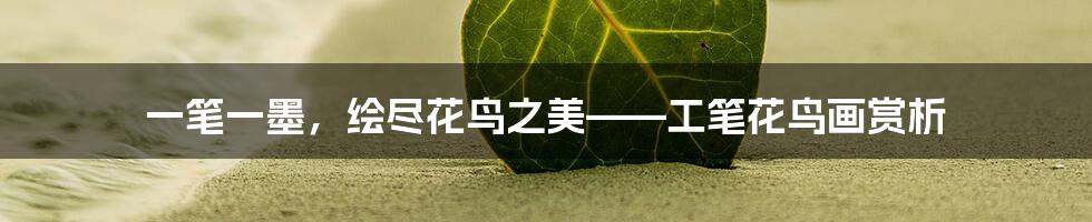 一笔一墨,绘尽花鸟之美——工笔花鸟画赏析