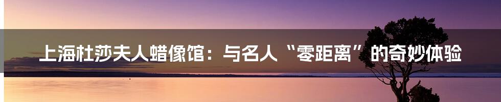 上海杜莎夫人蜡像馆:与名人“零距离”的奇妙体验
