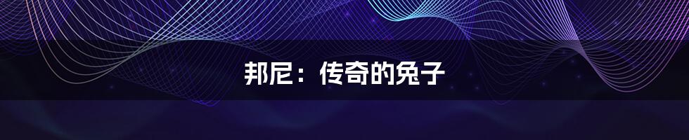 邦尼:传奇的兔子