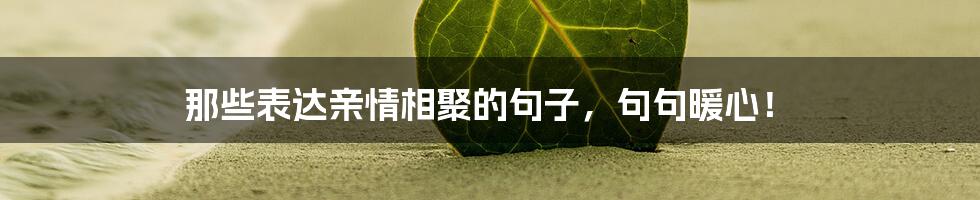 那些表达亲情相聚的句子,句句暖心!