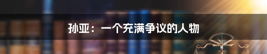 孙亚:一个充满争议的人物