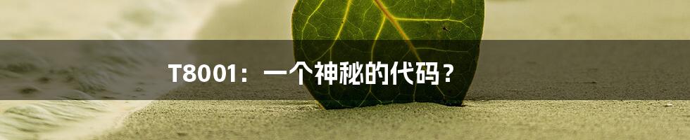 T8001:一个神秘的代码?