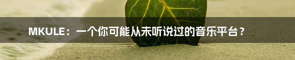 MKULE:一个你可能从未听说过的音乐平台?