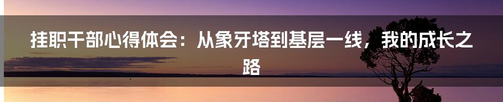 挂职干部心得体会:从象牙塔到基层一线,我的成长之路