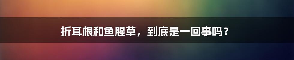 折耳根和鱼腥草,到底是一回事吗?