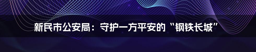 新民市公安局：守护一方平安的“钢铁长城”