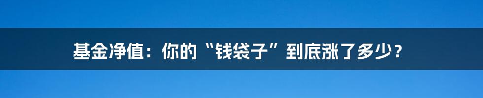 基金净值:你的“钱袋子”到底涨了多少?