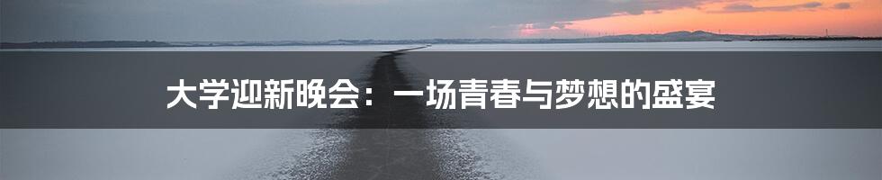 大学迎新晚会:一场青春与梦想的盛宴