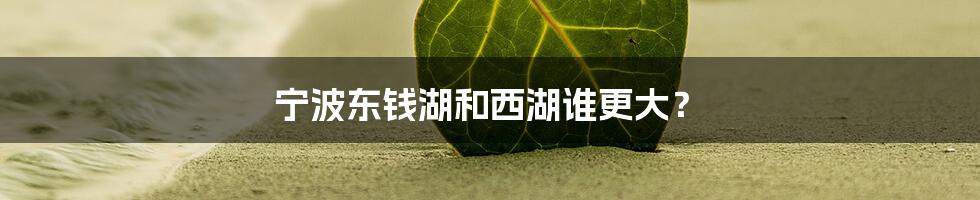 宁波东钱湖和西湖谁更大?