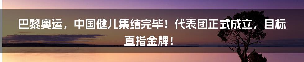 巴黎奥运,中国健儿集结完毕!代表团正式成立,目标直指金牌!