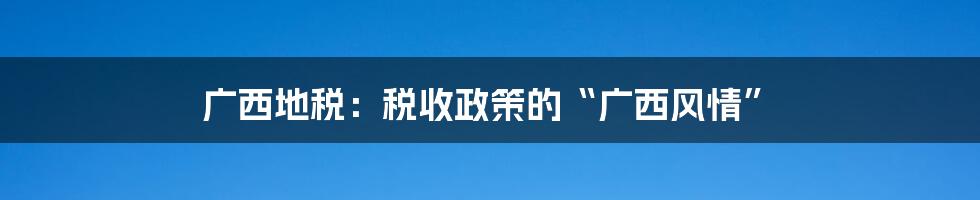 广西地税:税收政策的“广西风情”