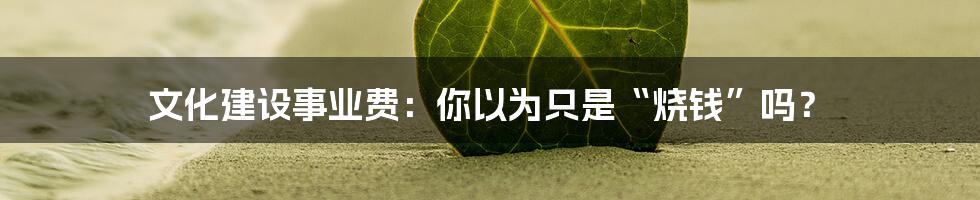 文化建设事业费:你以为只是“烧钱”吗?