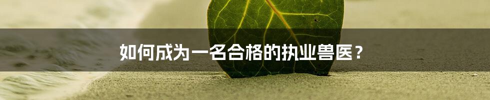 如何成为一名合格的执业兽医?