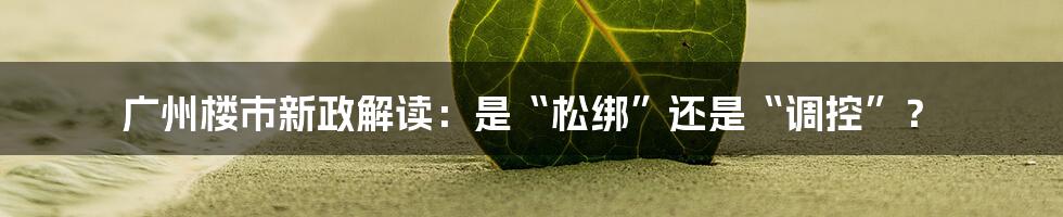 广州楼市新政解读:是“松绑”还是“调控”?