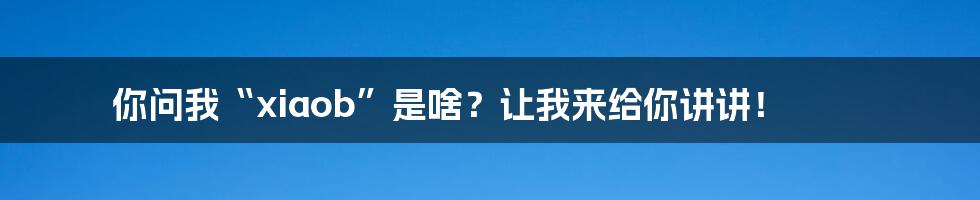 你问我“xiaob”是啥?让我来给你讲讲!