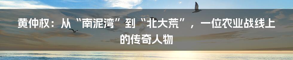 黄仲权:从“南泥湾”到“北大荒”,一位农业战线上的传奇人物
