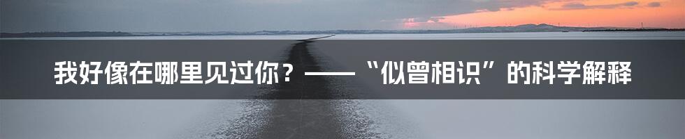 我好像在哪里见过你?——“似曾相识”的科学解释