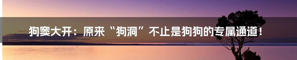 狗窦大开:原来“狗洞”不止是狗狗的专属通道!