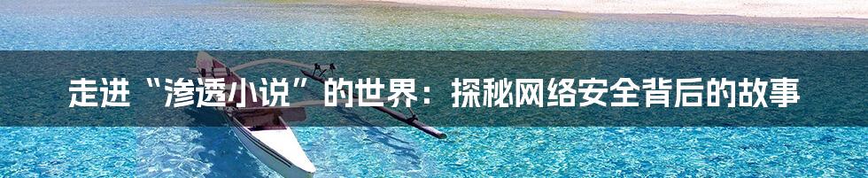 走进“渗透小说”的世界:探秘网络安全背后的故事