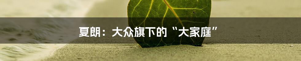 夏朗:大众旗下的“大家庭”