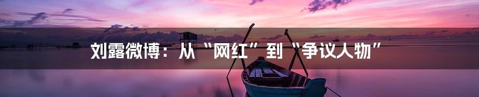 刘露微博:从“网红”到“争议人物”