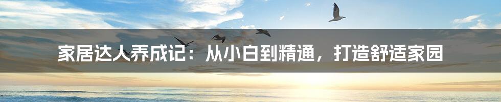 家居达人养成记:从小白到精通,打造舒适家园