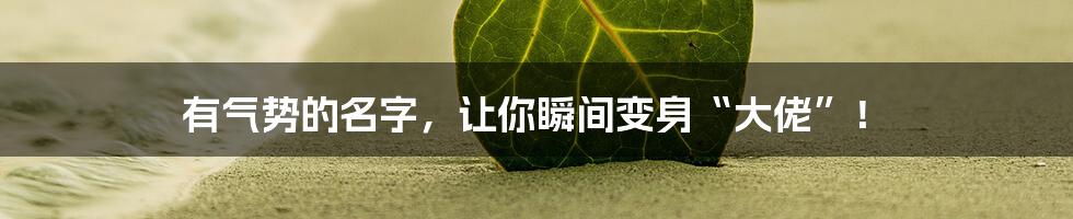 有气势的名字,让你瞬间变身“大佬”!