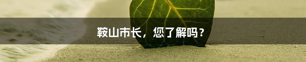 鞍山市长,您了解吗?