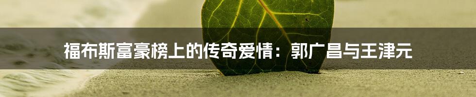 福布斯富豪榜上的传奇爱情:郭广昌与王津元