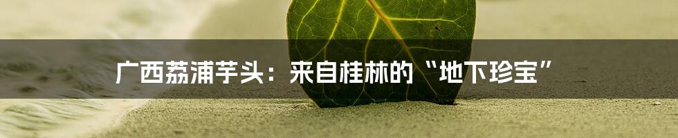 广西荔浦芋头:来自桂林的“地下珍宝”