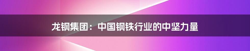 龙钢集团:中国钢铁行业的中坚力量