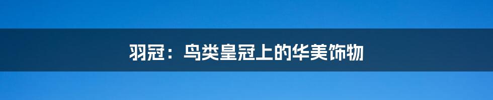 羽冠:鸟类皇冠上的华美饰物