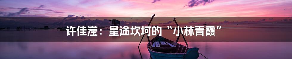 许佳滢:星途坎坷的“小林青霞”