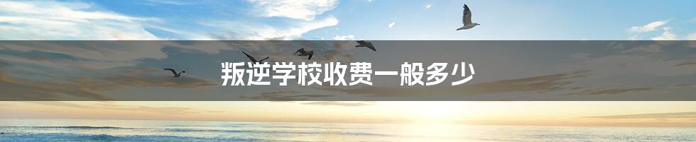 叛逆学校收费一般多少