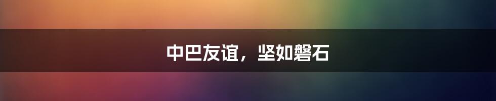 中巴友谊,坚如磐石