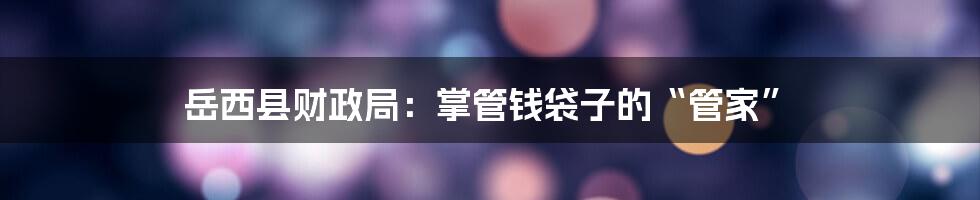 岳西县财政局：掌管钱袋子的“管家”