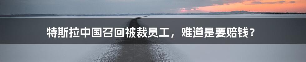 特斯拉中国召回被裁员工,难道是要赔钱?